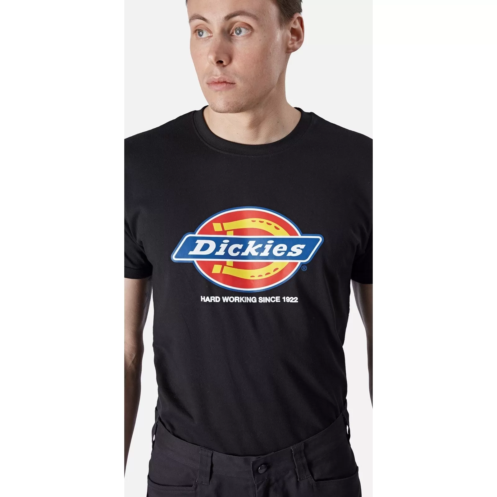 Dickies Denison T-Shirt