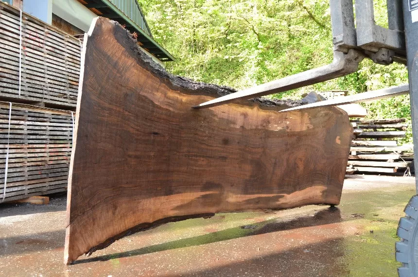 Oregon Black Walnut Slab 051022-07