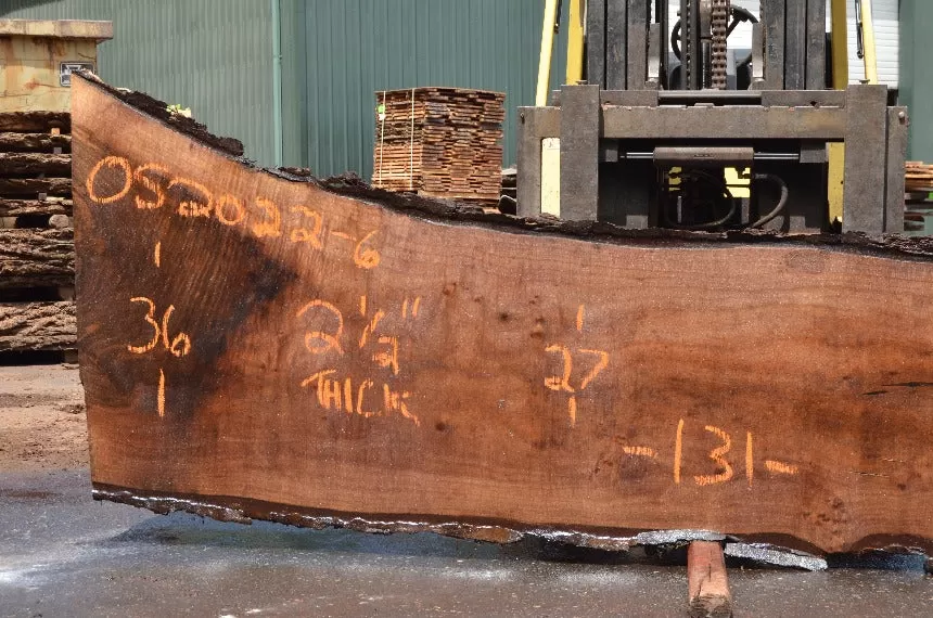 Oregon Black Walnut Slab 052022-06