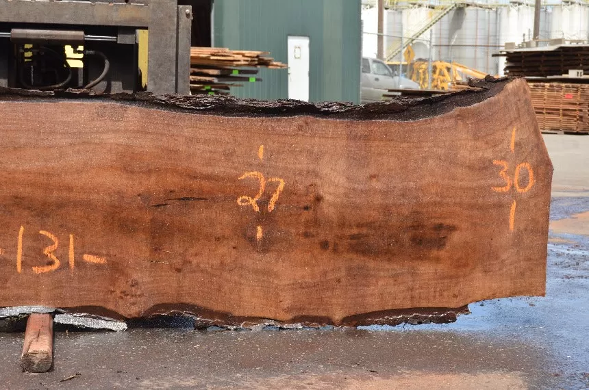 Oregon Black Walnut Slab 052022-06