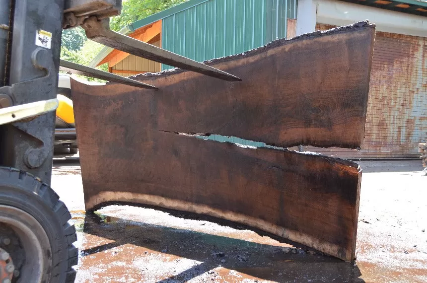 Oregon Black Walnut Slab 070122-02