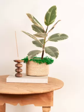 Raffia Tassel Storage Pots, Green