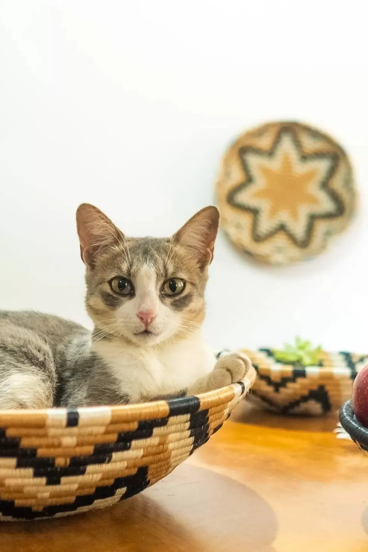 Rising Star Woven Bowls