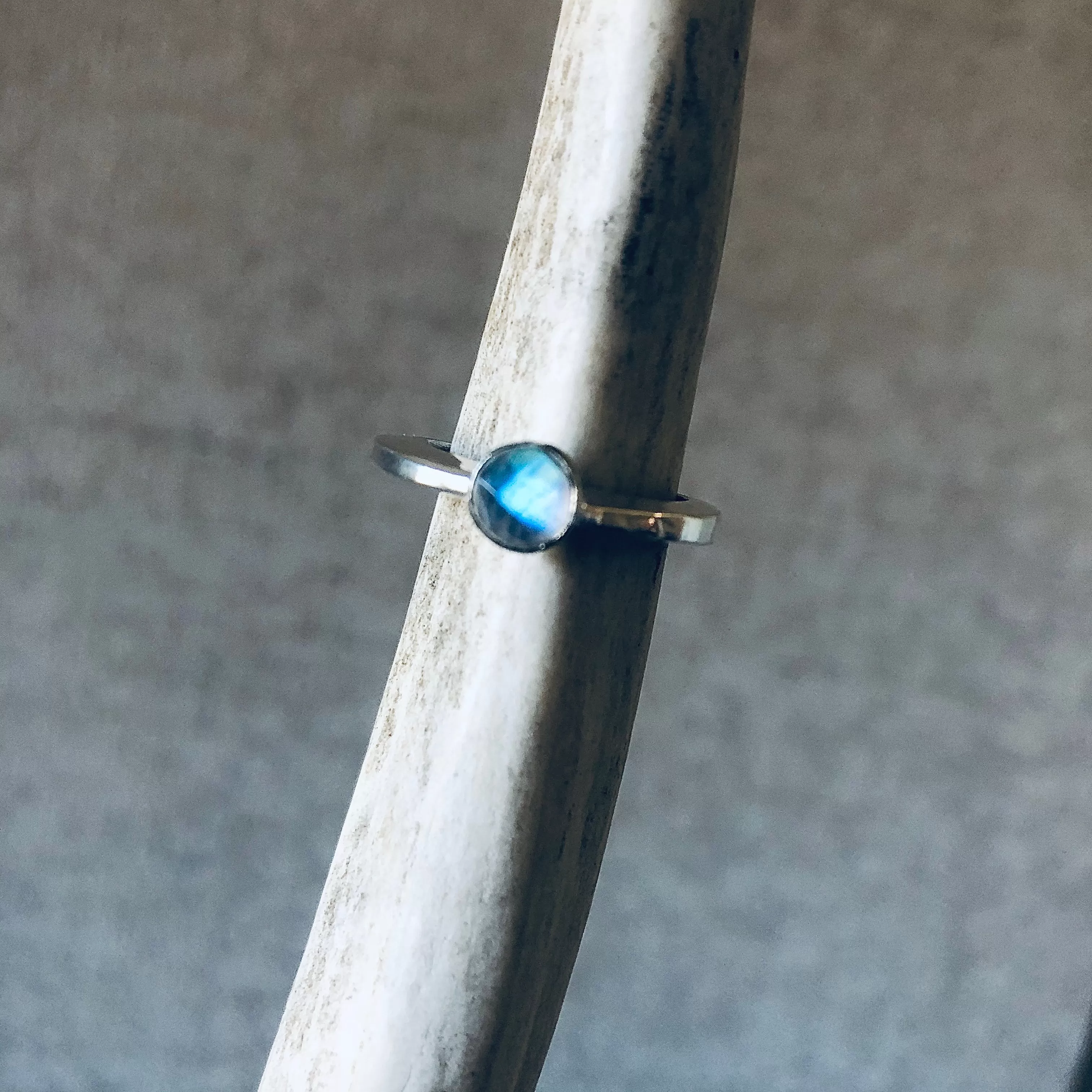 Slice ring in rainbow moonstone